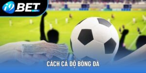 Cách Cá Độ Bóng Đá