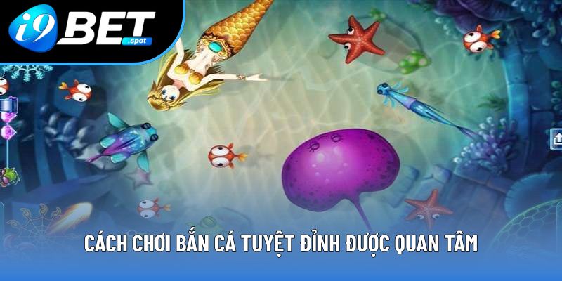 Cách chơi bắn cá tuyệt đỉnh được quan tâm Cách chơi bắn cá tuyệt đỉnh được quan tâm