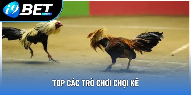 Top các trò chơi chọi kê Top các trò chơi chọi kê