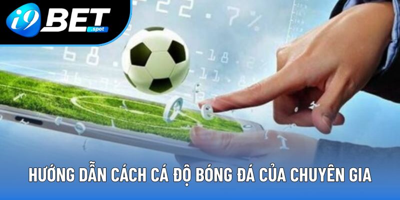 Hướng dẫn cách cá độ bóng đá của chuyên gia Hướng dẫn cách cá độ bóng đá của chuyên gia