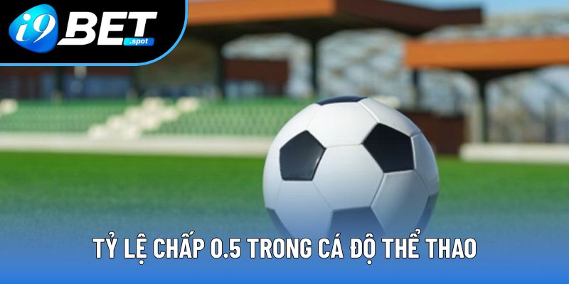 Tỷ lệ chấp 0.5 trong cá độ thể thao