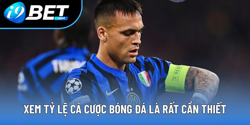 Xem tỷ lệ cá cược bóng đá là rất cần thiết